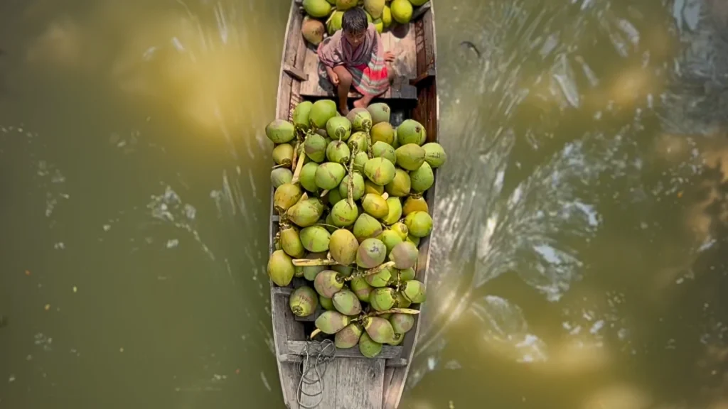 বরিশালের খালে তাজা ডাব নিয়ে নৌকা, স্থানীয় নদীমুখী জীবন ও সংস্কৃতির প্রতীক।