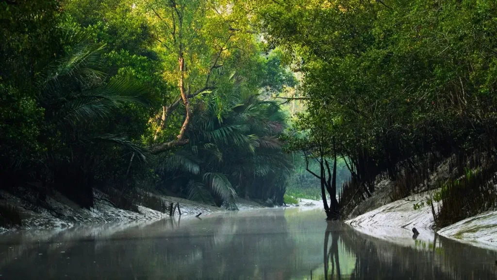Kochikhali Canal, Sundarbans – calm, mirror-like waters reflecting clouds and green trees