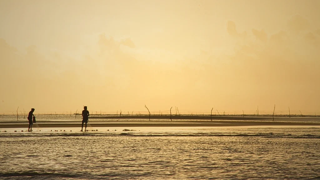 কুয়াকাটার ভাঙন: মানুষ, বন ও সমুদ্রের লড়াই