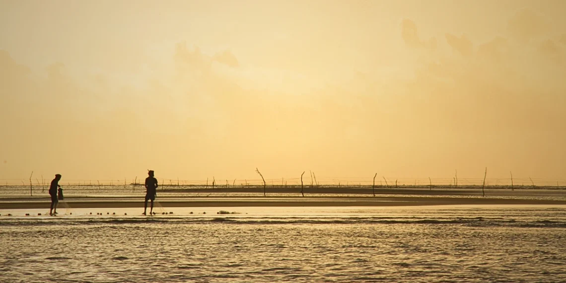 কুয়াকাটার ভাঙন: মানুষ, বন ও সমুদ্রের লড়াই