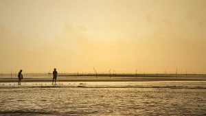 কুয়াকাটার ভাঙন: মানুষ, বন ও সমুদ্রের লড়াই