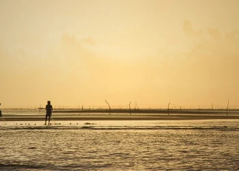 কুয়াকাটার ভাঙন: মানুষ, বন ও সমুদ্রের লড়াই
