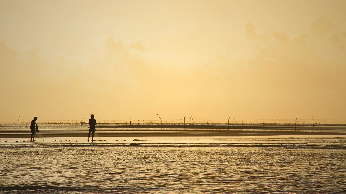 কুয়াকাটার ভাঙন: মানুষ, বন ও সমুদ্রের লড়াই