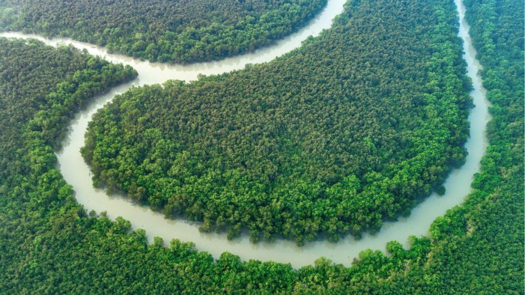 Sundarbans East Wildlife Sanctuary, Bagerhat – Bangladesh’s UNESCO World Heritage Mangrove Forest