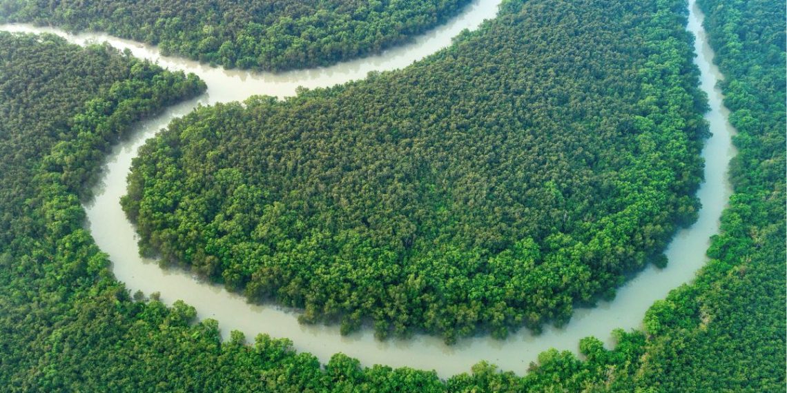 Sundarbans East Wildlife Sanctuary, Bagerhat – Bangladesh’s UNESCO World Heritage Mangrove Forest