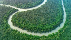 Sundarbans East Wildlife Sanctuary, Bagerhat – Bangladesh’s UNESCO World Heritage Mangrove Forest