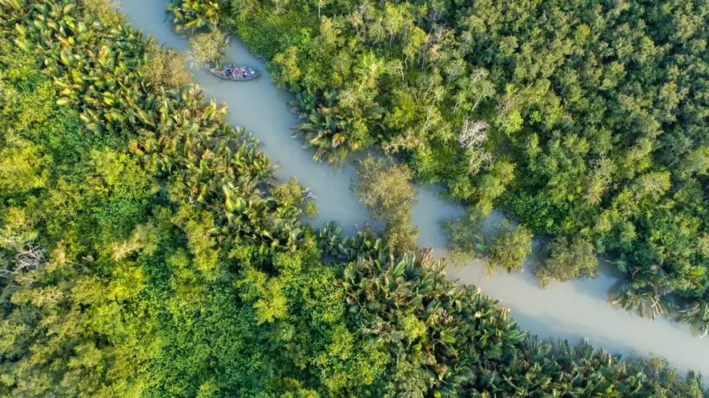 Rivers of the Sundarbans – the forest’s heartbeat and main lifeblood, where tidal currents bring new life.