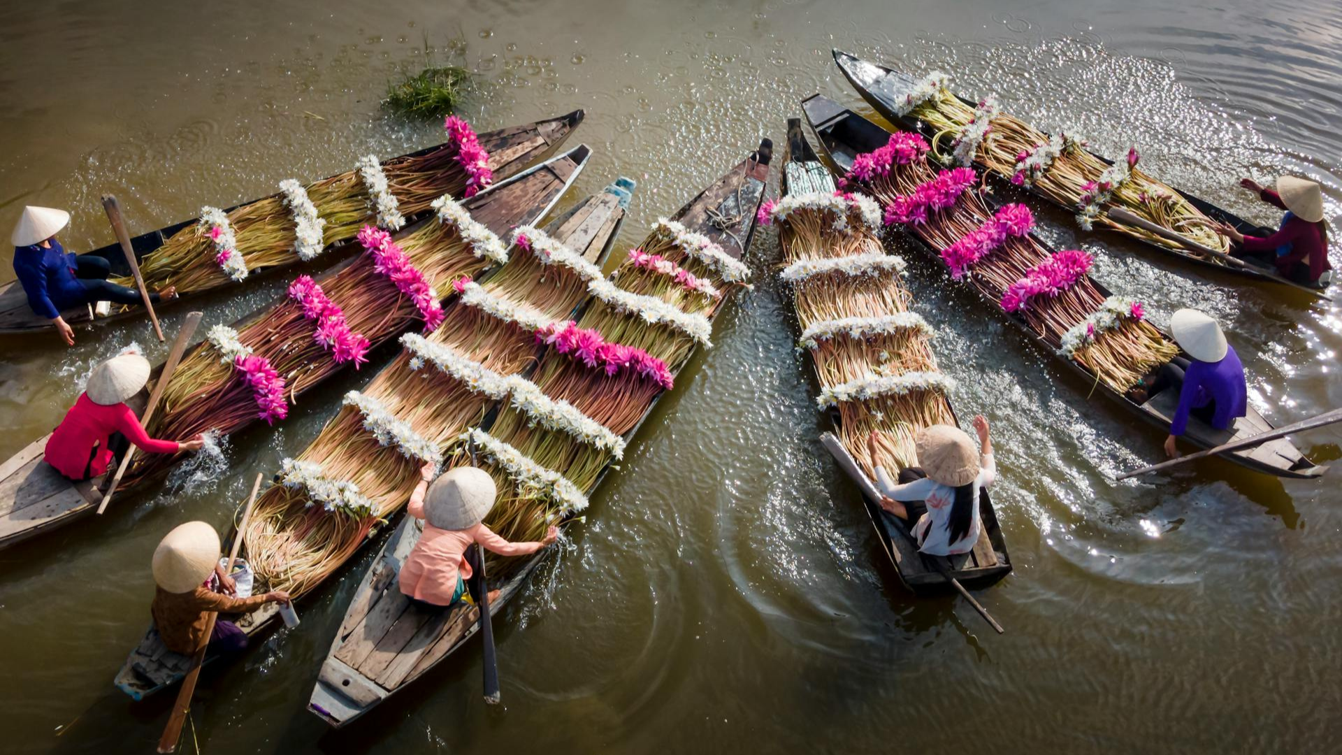 মানসিক প্রশান্তি