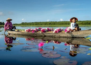 মানসিক প্রশান্তি- banglatainment