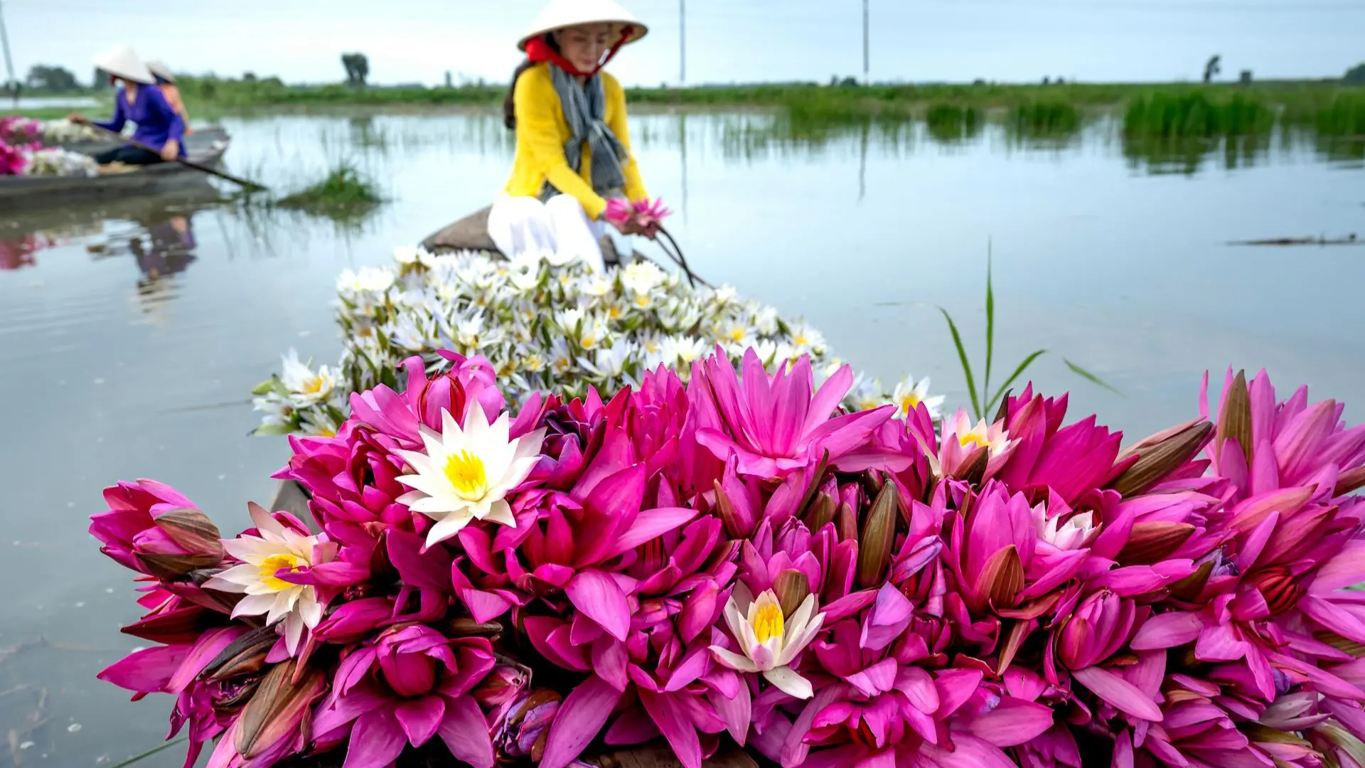 সুখ শুধু প্রাপ্তিতে নয়